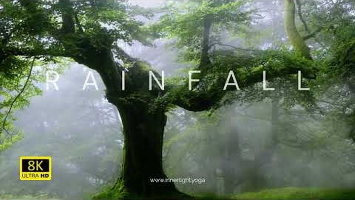 Help Inner Light Bring Healing Yoga to SEN Families video thumbnail, 1 of 4