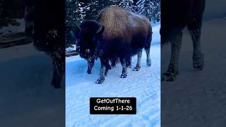 GetOutThere Travel App Helping YOU travel the world video thumbnail, 1 of 6