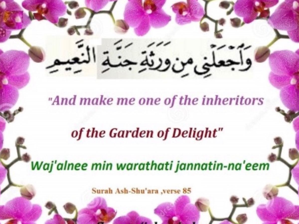 Fundraiser by Fadumeen Ahmed : Sadaqah Jariya for Aabo