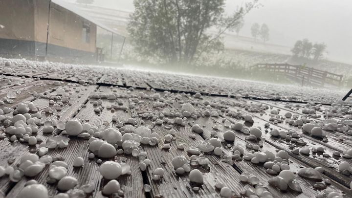 Help Le Silence du Midi heropbouwen na plotse hagelstorm campaign photo, 1 of 8