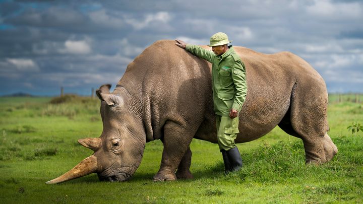 Aggiornamento dal campo Ol Pejeta Conservancy campaign photo, 1 of 6