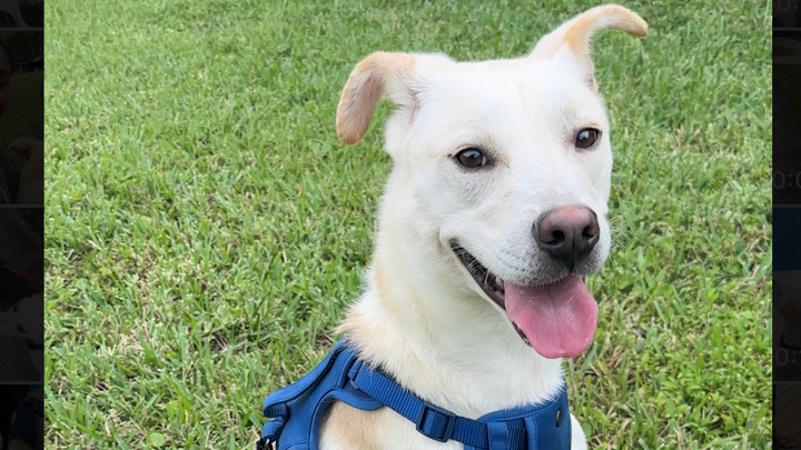 Help Popcorn get the fresh start he deserves campaign photo, 1 of 6