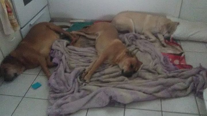 Main fundraiser photo