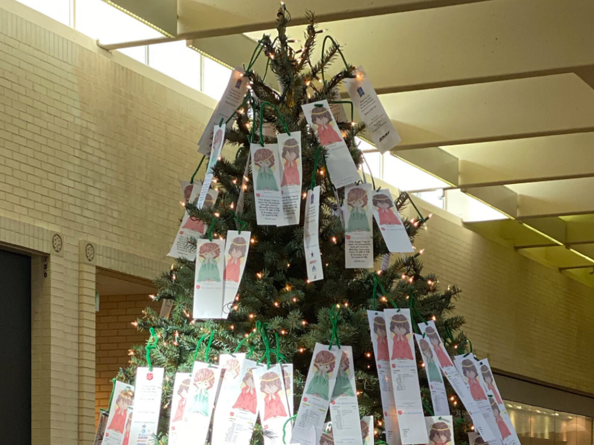 Fundraiser’s main image